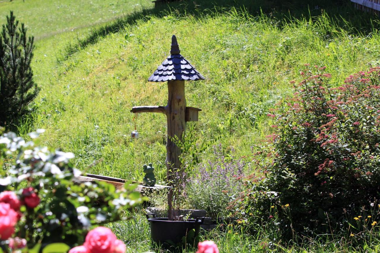 Bauerndörfl Hüttschlag Villa Exteriör bild